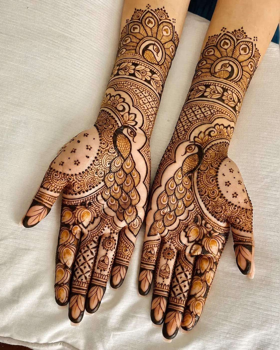 Two hands with detailed bridal mehndi featuring peacock designs, covering palms and forearms.